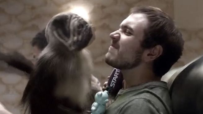 go to Verstörend: Bizarre Werbung mit Welpen-Affen-Baby