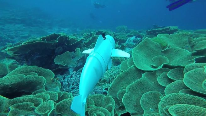 go to Technische Eleganz: Roboter-Fisch erkundet die Ozeane