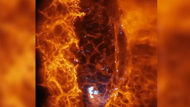 go to Schnelle Flitzer: Forscher gelingen klare 3D-Aufnahmen von Zellen